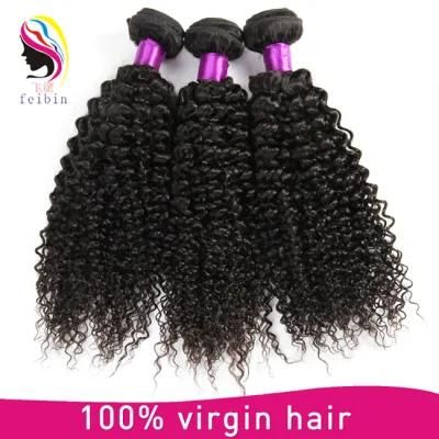 Cheap Virgin 8A Raw Kinky Curl Brazilian Human Hair Extension