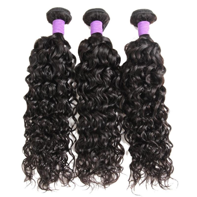 Real Photo 100% Human Hair Water Wave Unprocessed Remy Brazilian Hair Weft