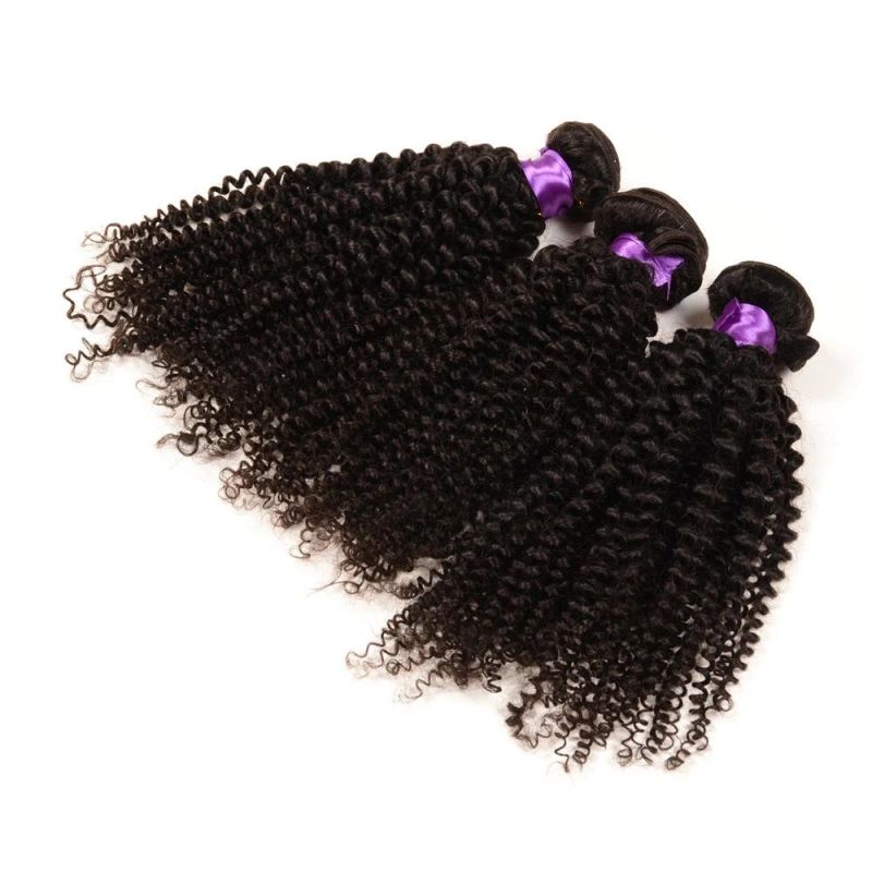 100% Virgin Indian Afro Kinky Curly Hair Hot Sale Afro Kinky Hair Weaving Grade 7A Afro Kinky Human Hair