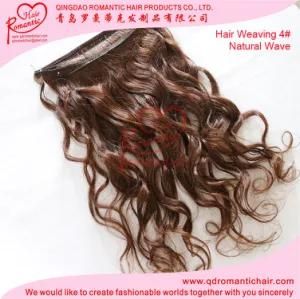 Wholesale Straight Natural Color Brazilian Human Hair Extension