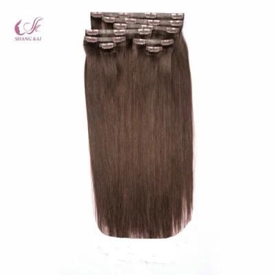 Seamless Clip Hair Extension 100% Brazilian Virgin Remy Human Hair