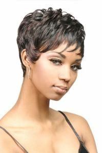 100% Human Hair Full Lace Wigs (Kinsofa 239867)