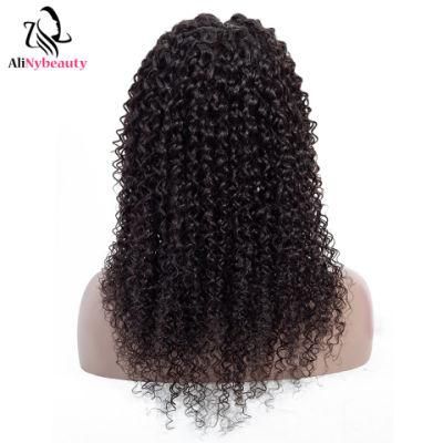 Alinybeauty 2019 New Arrival Jerry Curly Full Lace Wig