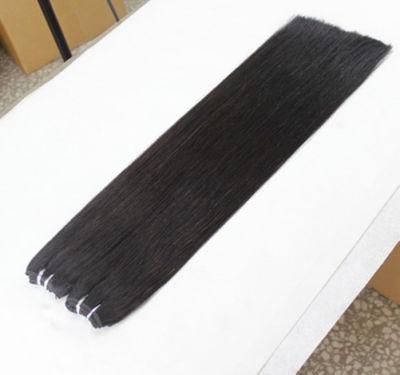 10A Straight Human Hair Bundles Virgin Brazilian Hair 3 Bundles