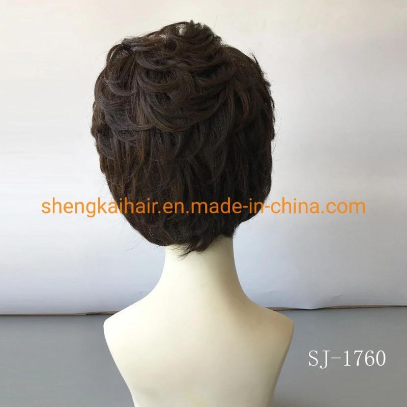 Wholesale Good Quality Handtied Heat Resistant Fiber Short Curly Lace Front Wigs with Bangs 623