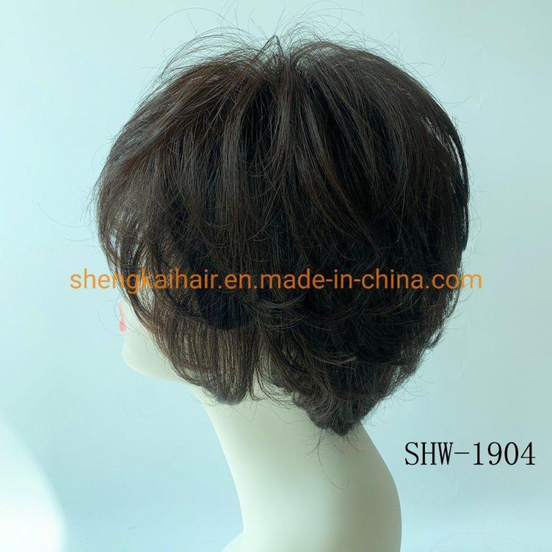 Wholesale Human Hair Synthetic Hair Mix Handtiedchina Hair Wigs for Women