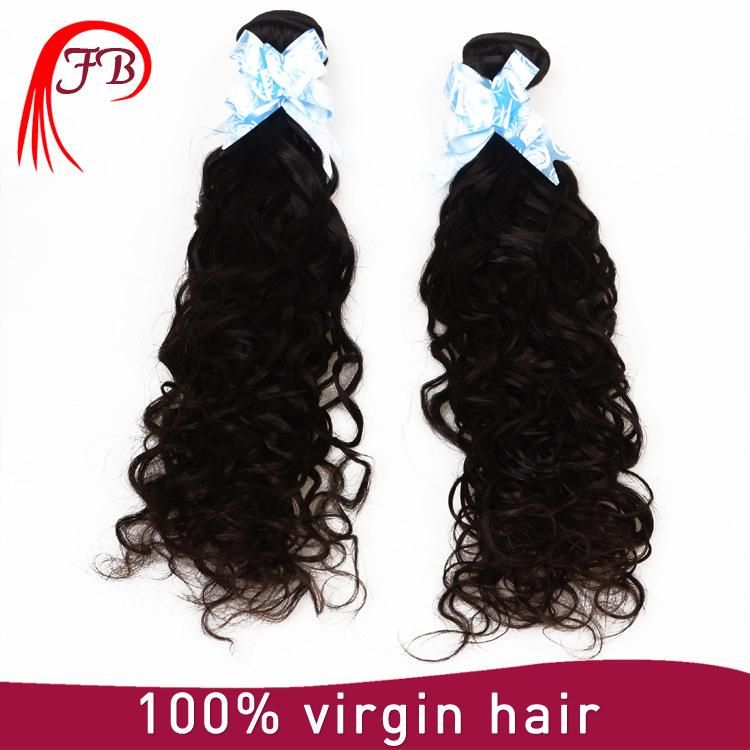 100% Virgn Remy Brazilian Natural Wave Human Hair Weft