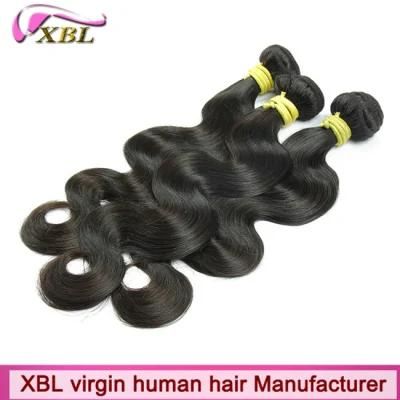 Virgin Indian Human Hair Wavy Hair Extensions