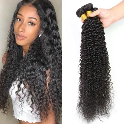 Factory Wholesale Kinky Curly Brazilian Virgin Human Hair Bundles Natural Black 12 Inch