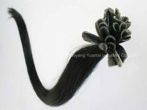 Black Keratin U-Tip Italian/ Chinese Human Hair Extension