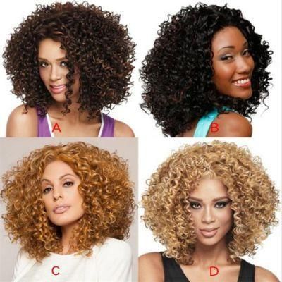 Lady&prime;s Curly Hair Short 2019