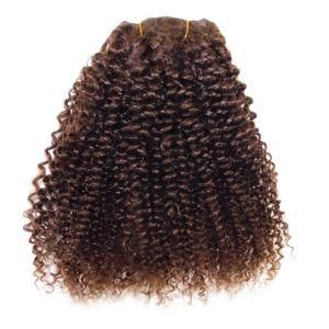 Kinky Curly Brown Clip in Human Hair Extensions
