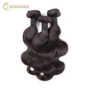 Raw Virgin Unprocessed Human Brazilian Hair Weave