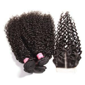 Kinky Curly Human Hair Bundles with Transparent Lace Front
