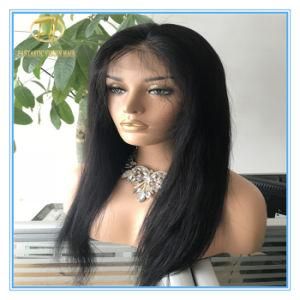 High Quality Natural Color Human Hair Lace Wig with Factory Price Wig-009