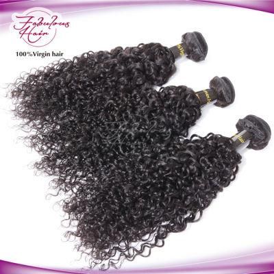 Long Remy Human India Best Curly Remy Hair