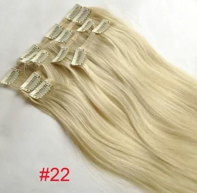 Clip on Hair Extension Remy Clip in Human Hair Extensions (AV-CH009-22)