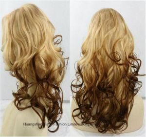 Indian Remy Virgin Human Hair Wig Ombre Hair -Full Lace
