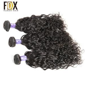 Raw Product Human Virgin Brazilian Hair Bundles Vendors