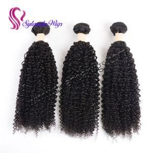 Kinky Curly #1b Brazilian Human Hair Weave Bundles Curly Wave Hair Weft with Free Shipping