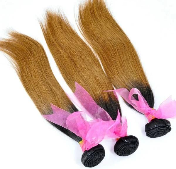 Brazilian Ombre Remy Human Hair Weft at Wholesale Price with SGS Approved (Straight #T1b/30)
