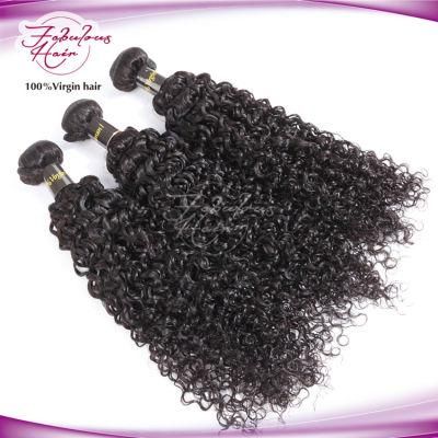 Virgin Brazilian Curly Wave Hair Weaving