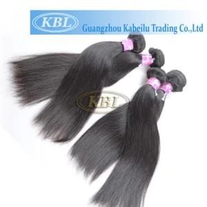 Top Grade Brazilian Virgin Human Hair From Kbl
