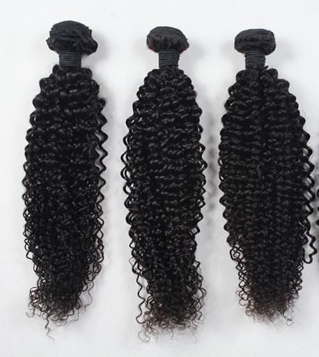 Raw Virgin Hair Unprocessed Human Hair Curly Hair Bundles