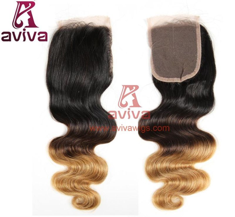 Top Quality Brazilian Hair Virgin Ombre Hair Extension