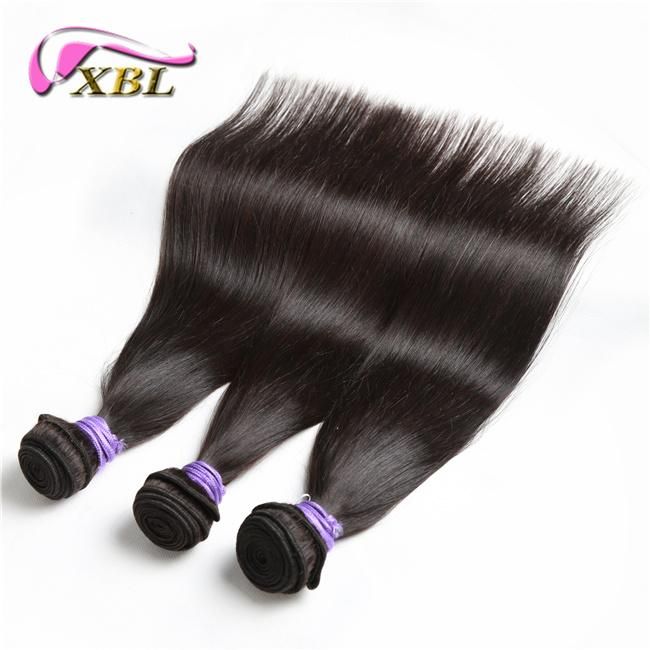 8A Grade 100% Raw Unprocessed Brazillian Virgin Hair