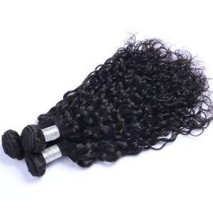 Peruvian Hair Bundles Human Hair Water Wave Hair Extension