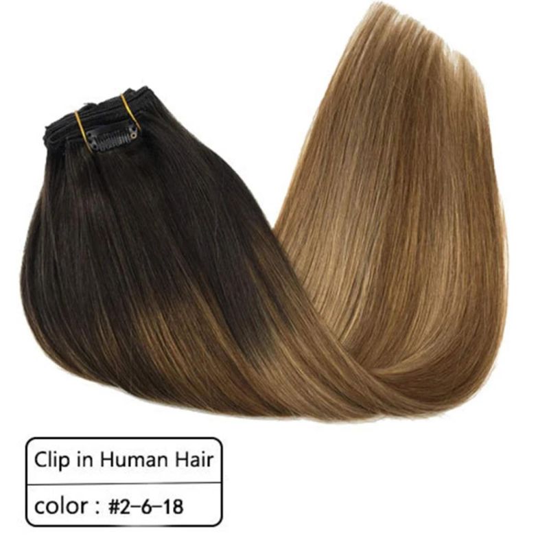 Multi Color Brazilian Human Hair Clip in Extensions Full Head Remy Human Hair Straight Hair Extensions 20 Inches