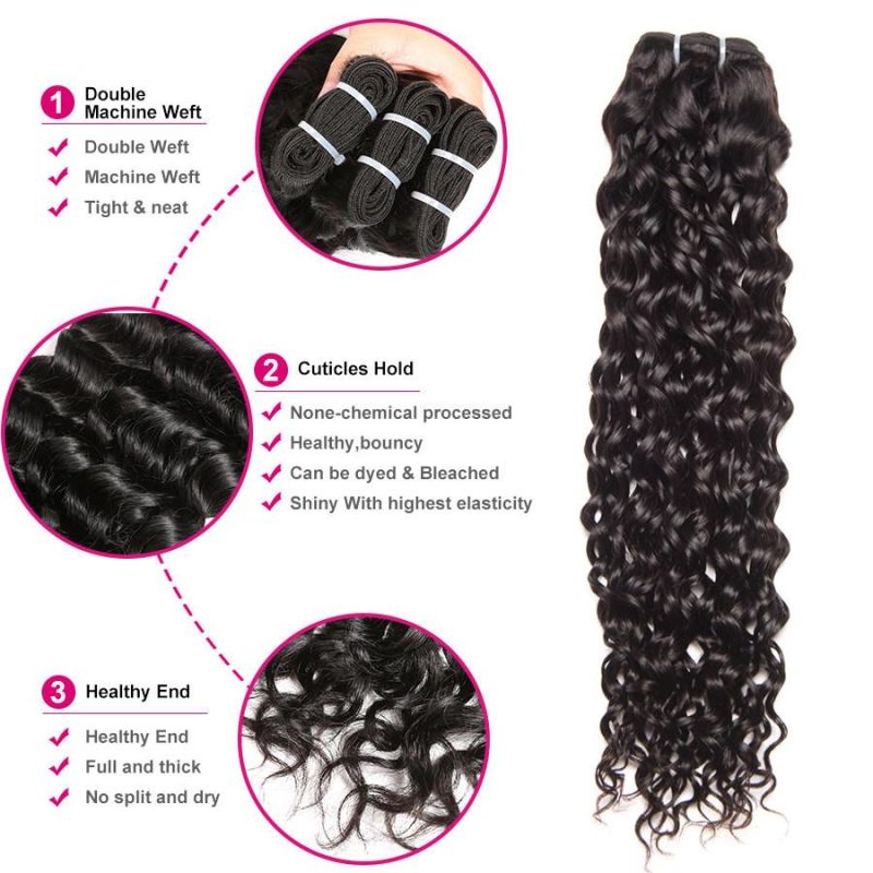 Virgin Human Hair Water Wave Bundles with Brazilian Lace Frontal Closure