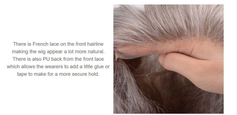 Full Cap Men′s Wig High Quality Two Tone Grey