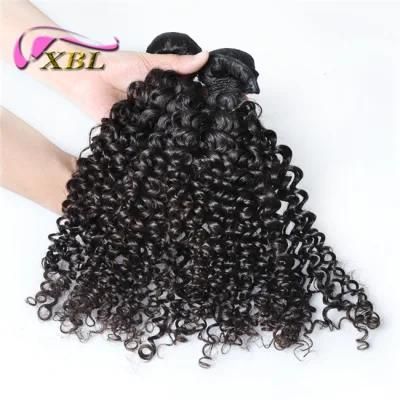 Xbl Factory Wholesale Price Full Cuticle Mink Hair Curly Hair