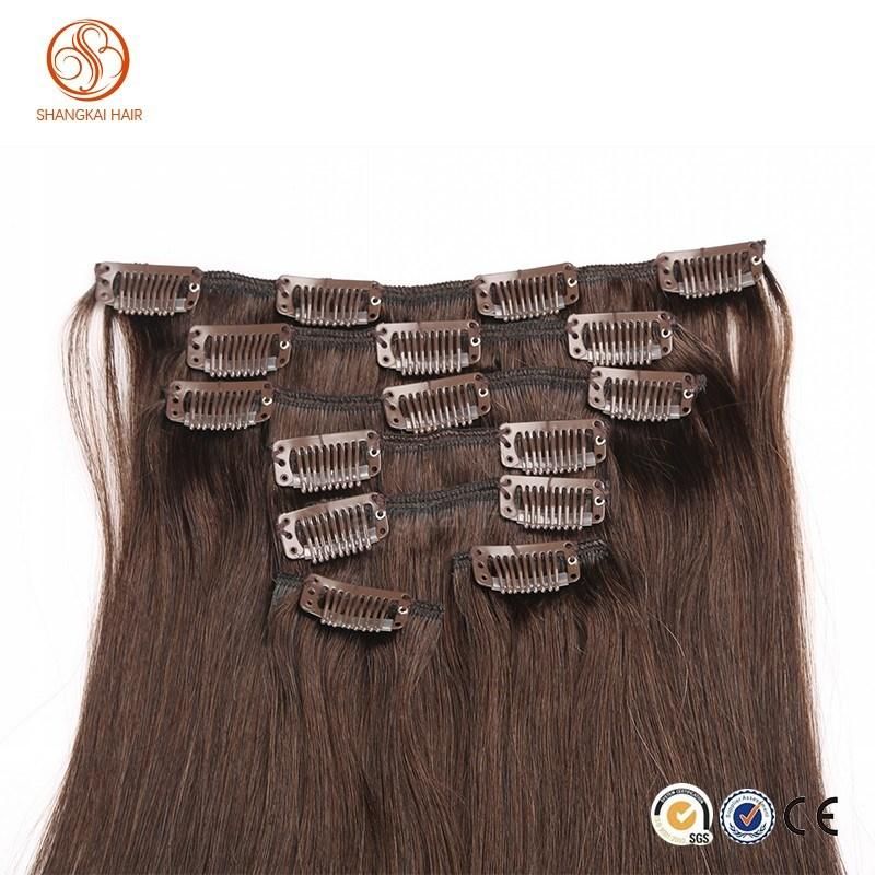100% Remy Hair Extensions Clip in Human Hair Clip in Extensions