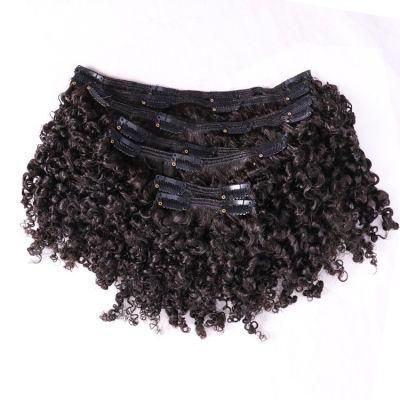 Brazilian Virgin Hair Afro Kinky Curly Clip in Hair Extensions 8PCS/Set