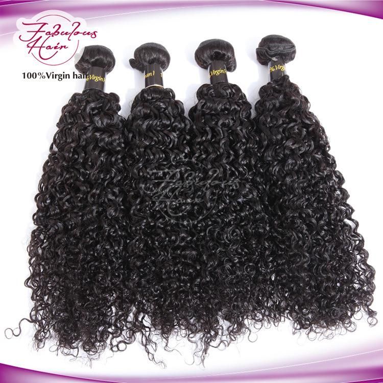 Top Quality 100% Human Virgin Hair Curly Hair