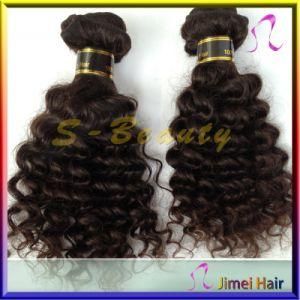Virgin Water Wave Remy Human Indian Extension Hair