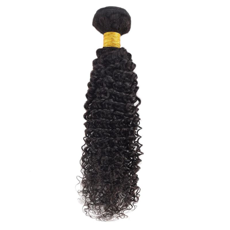 Kinky Curly Weave Human Hair Bundles Peruvian Curly Hair Extension