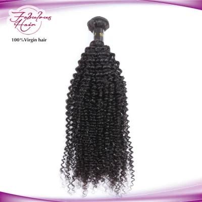 100% Virgin Human Hair Kinky Curly Weaves Hair Bundles