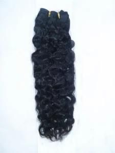 Curly Remy Human Hair Weft/Weaving Extension