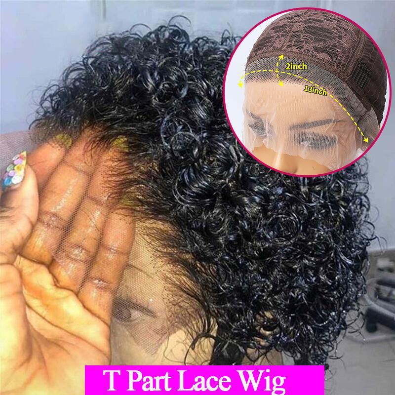 Sunlight Hair Lace Front Wig 13X1 Pixie Curly