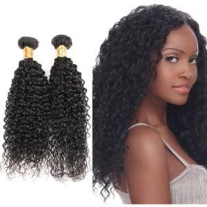 Raw Unprocessed Human Brazilian Virgin Hair Weave
