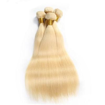 Wendy Hair Human Hair Wigs Brazilian Hair Cuticle Aligned Hair