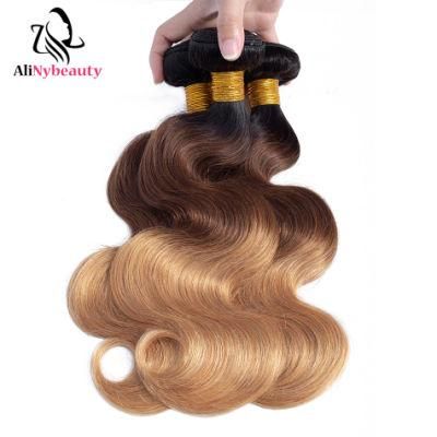 100% Unprocessed 1b/4/27 Human Hair Extension