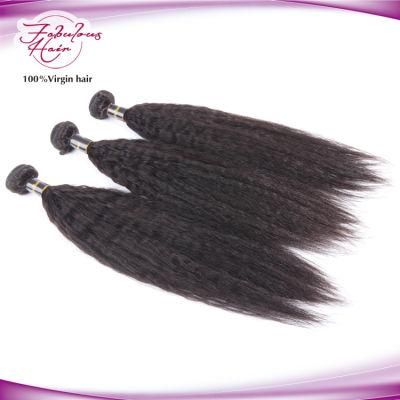Popular Style Kinky Straight Human Peruvian Hair Bundles Hair