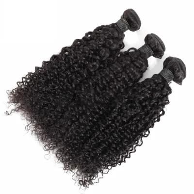 Hot Sale Human Kinky Curly Hiar Barzilian Remy Hiar Weaving