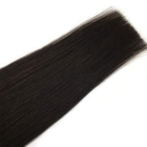 Silky Straight Human Hair Tape in Hair Extensions