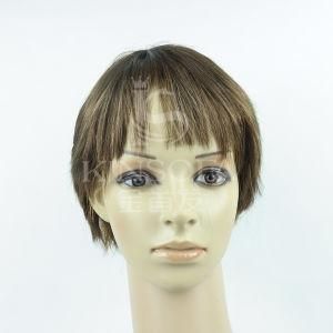 100 % Human Hair Machine Made Wig (Kinsofa 1017)
